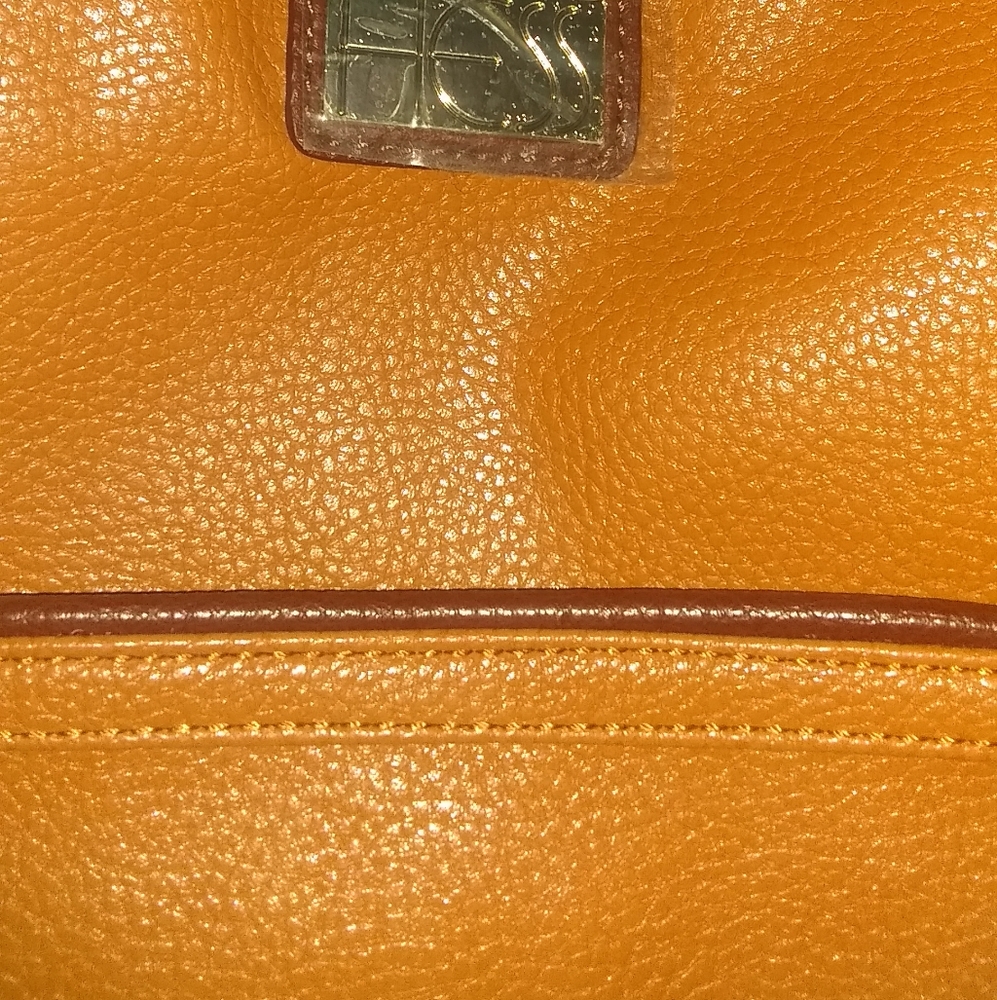Handbag/Tote